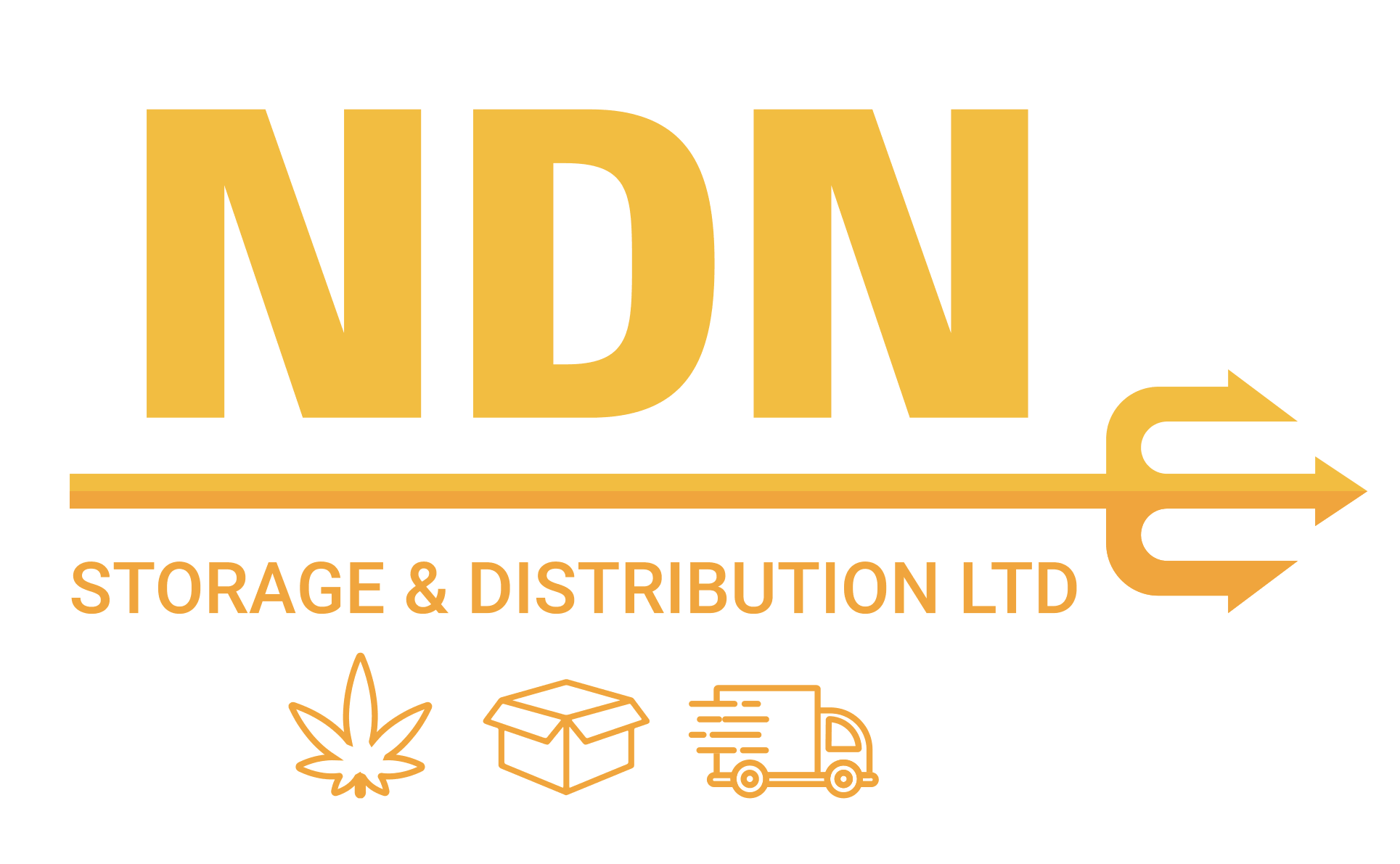 NDN Logo